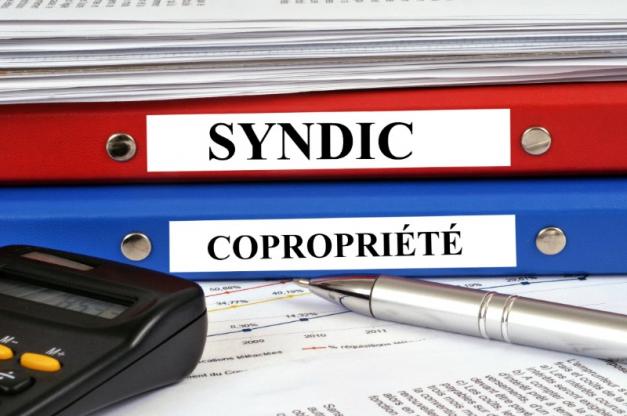 Syndic professionnel